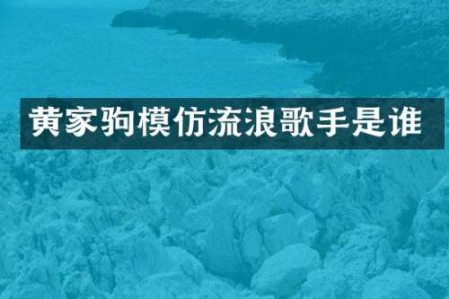 黄家驹模仿流浪歌手是谁