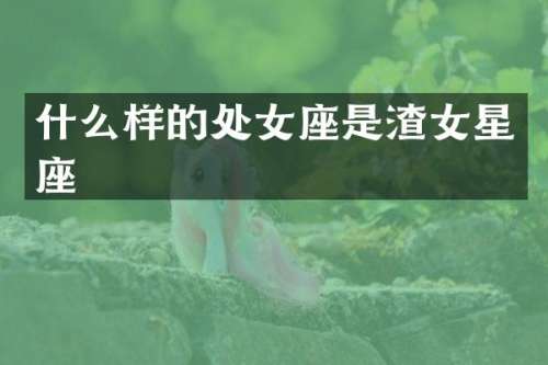 什么样的处女座是渣女星座