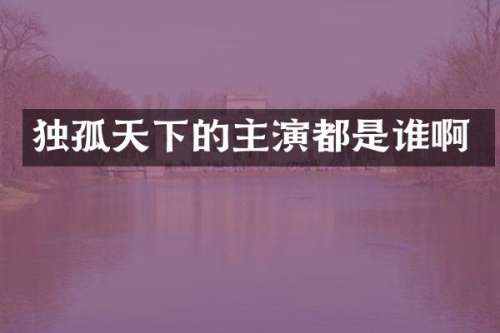 独孤天下的主演都是谁啊