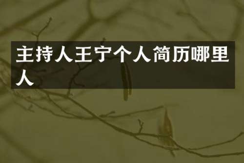 主持人王宁个人简历哪里人
