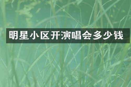 明星小区开演唱会多少钱