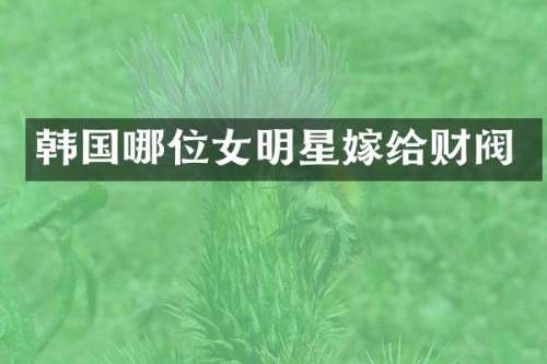 韩国哪位女明星嫁给财阀