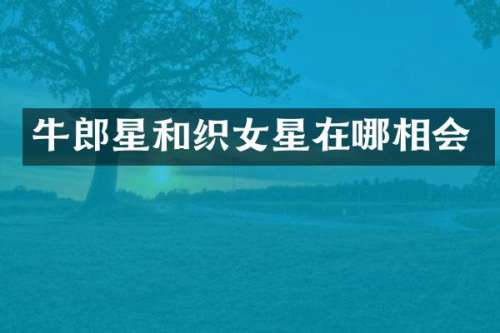 牛郎星和织女星在哪相会