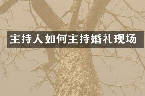 主持人如何主持婚礼现场