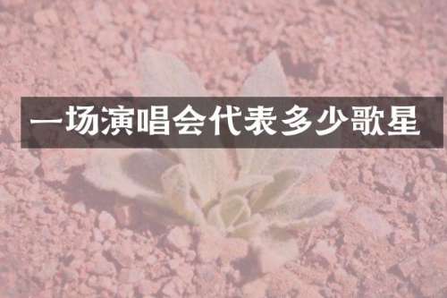 一场演唱会代表多少歌星