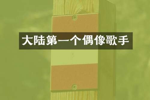 大陆第一个偶像歌手