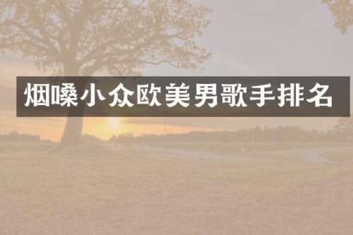 烟嗓小众欧美男歌手排名