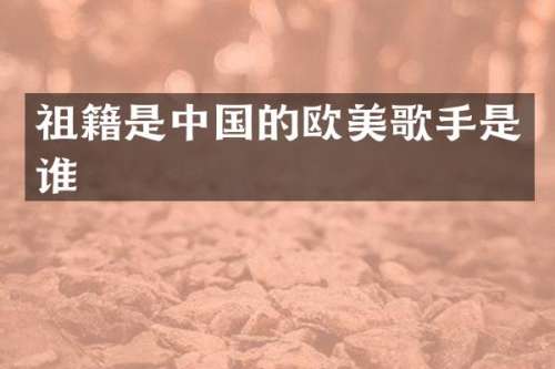 祖籍是中国的欧美歌手是谁