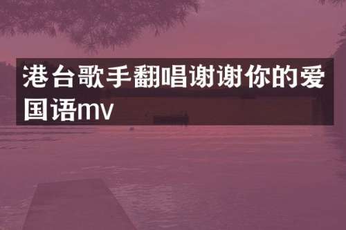 港台歌手翻唱谢谢你的爱国语mv