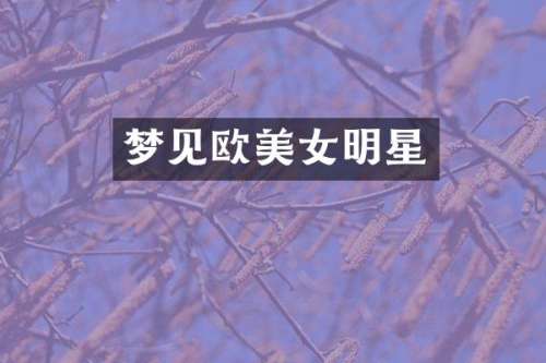 梦见欧明星