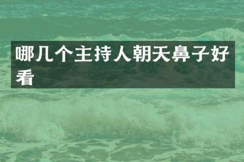 哪几个主持人朝天鼻子好看