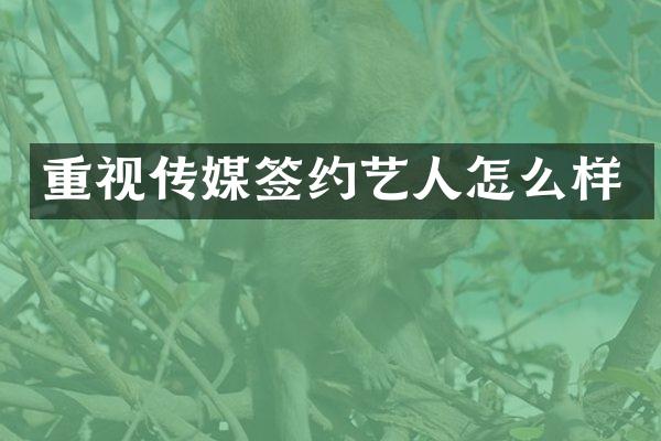 重视传媒签约艺人怎么样
