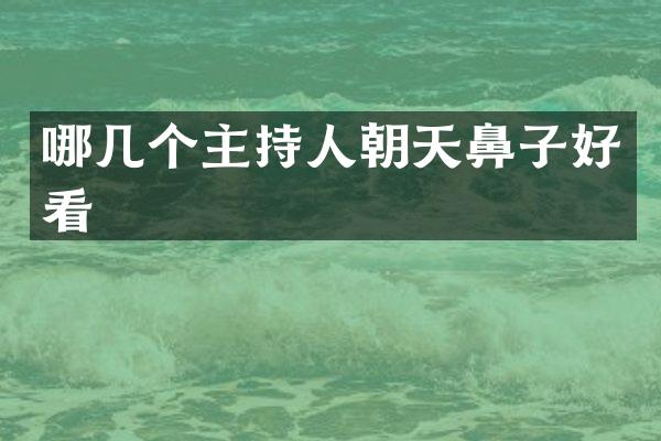 哪几个主持人朝天鼻子好看