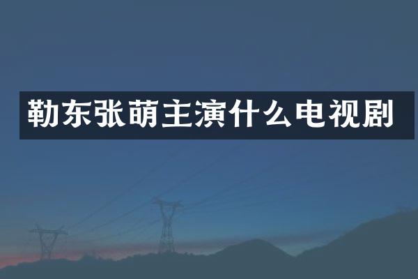 勒东张萌主演什么电视剧
