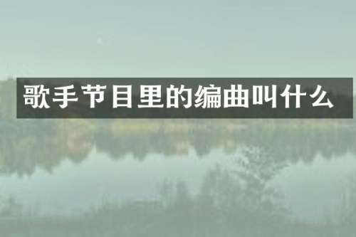 歌手节目里的编曲叫什么