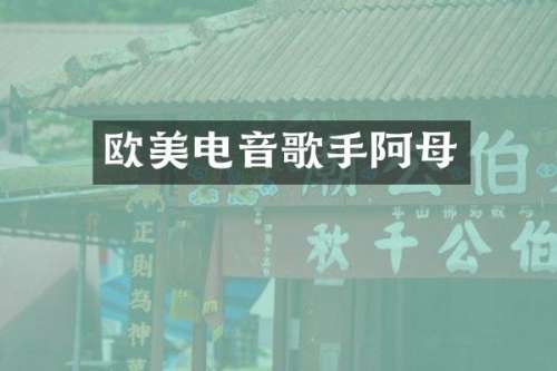 欧美电音歌手阿母