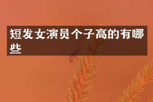 短发女演员个子高的有哪些