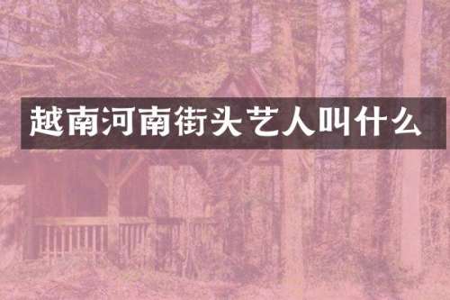 越南河南街头艺人叫什么