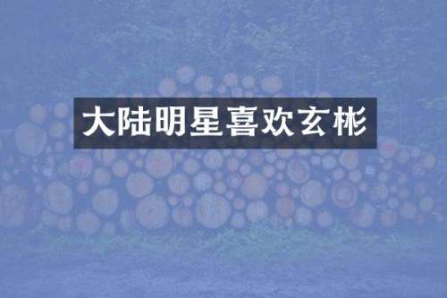 大陆明星喜欢玄彬