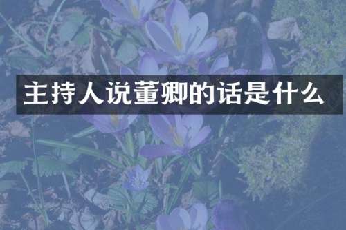 主持人说董卿的话是什么