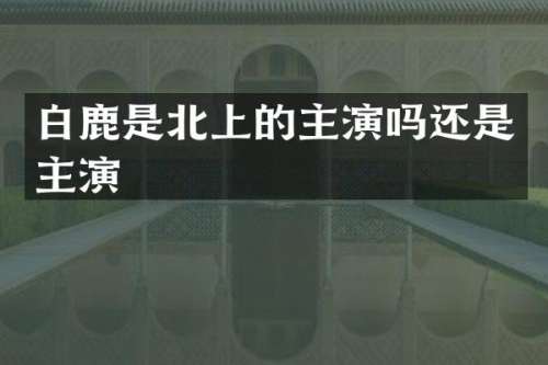 白鹿是北上的主演吗还是主演