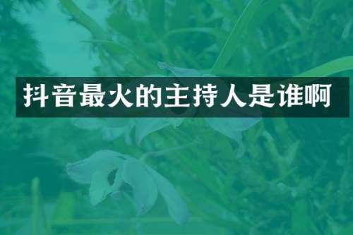 抖音最火的主持人是谁啊