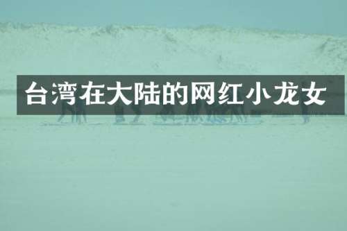 台湾在大陆的网红