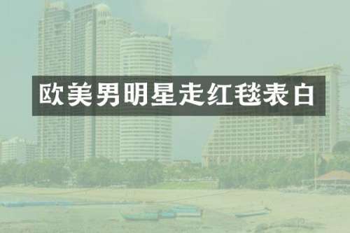 欧美男明星走红毯表白