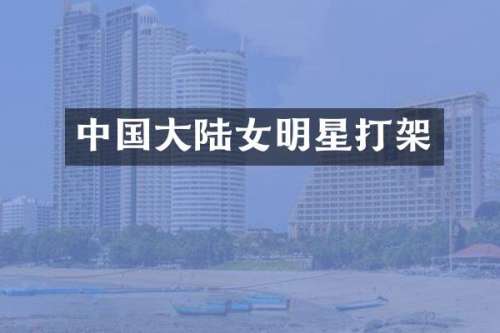 中国大陆女明星打架