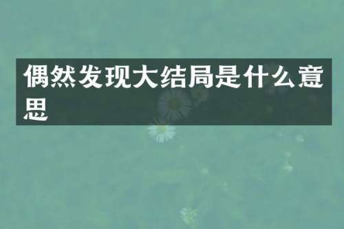 偶然发现大结局是什么意思