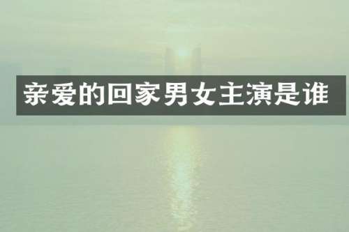 亲爱的回家男女主演是谁