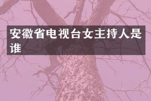 安徽省电视台女主持人是谁