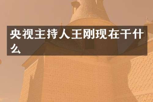 央视主持人现在干什么
