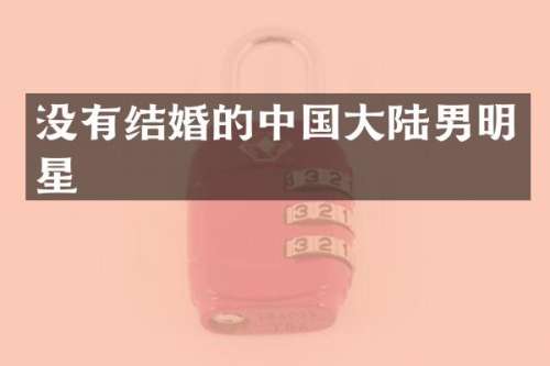 没有结婚的中国大陆男明星