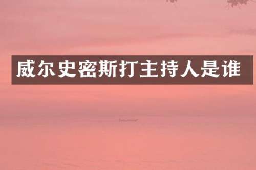 威尔史密斯打主持人是谁