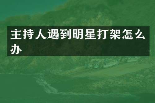 主持人遇到明星打架怎么办