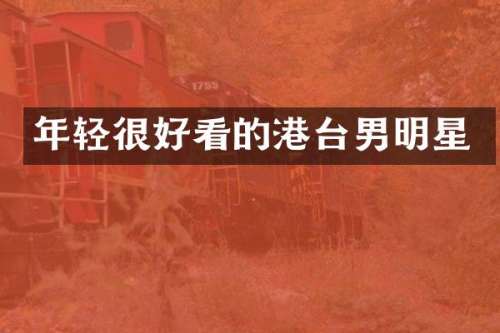 年轻很好看的港台男明星