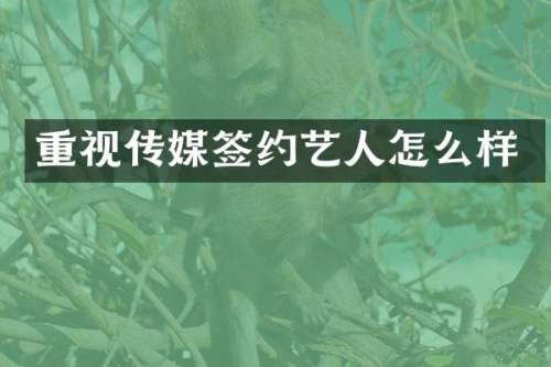 重视传媒签约艺人怎么样