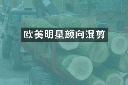 欧美明星颜向混剪