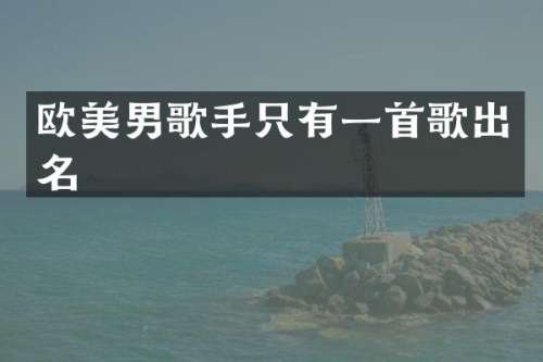 欧美男歌手只有一首歌出名