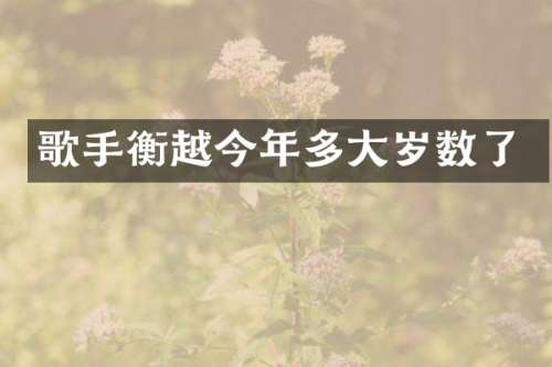 歌手衡越今年多大岁数了