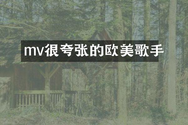 mv很夸张的欧美歌手