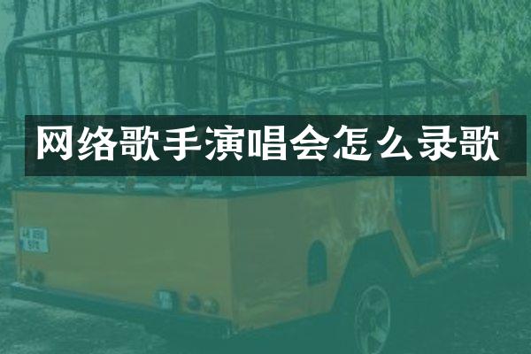 网络歌手演唱会怎么录歌