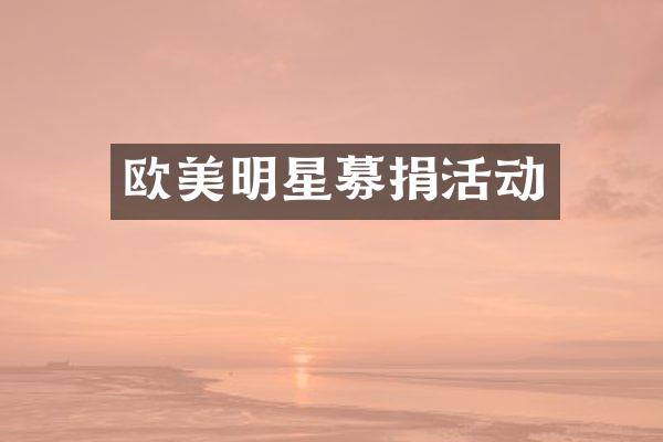 欧美明星募捐活动