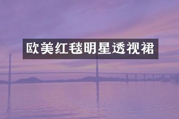欧美红毯明星透视裙