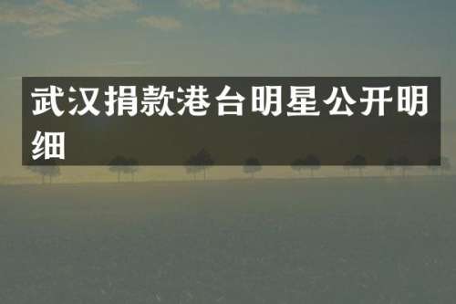 武汉捐款港台明星公开明细