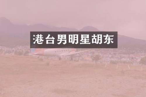 港台男明星胡东
