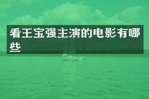看王宝强主演的电影有哪些