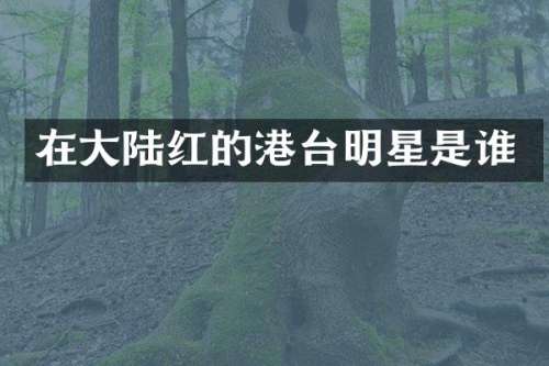 在大陆红的港台明星是谁