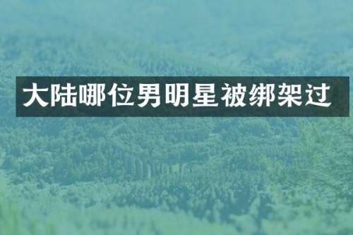 大陆哪位男明星架过